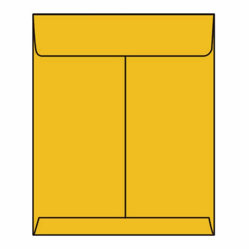 Open End Catalog Envelopes, 10x22 x 13 T85201