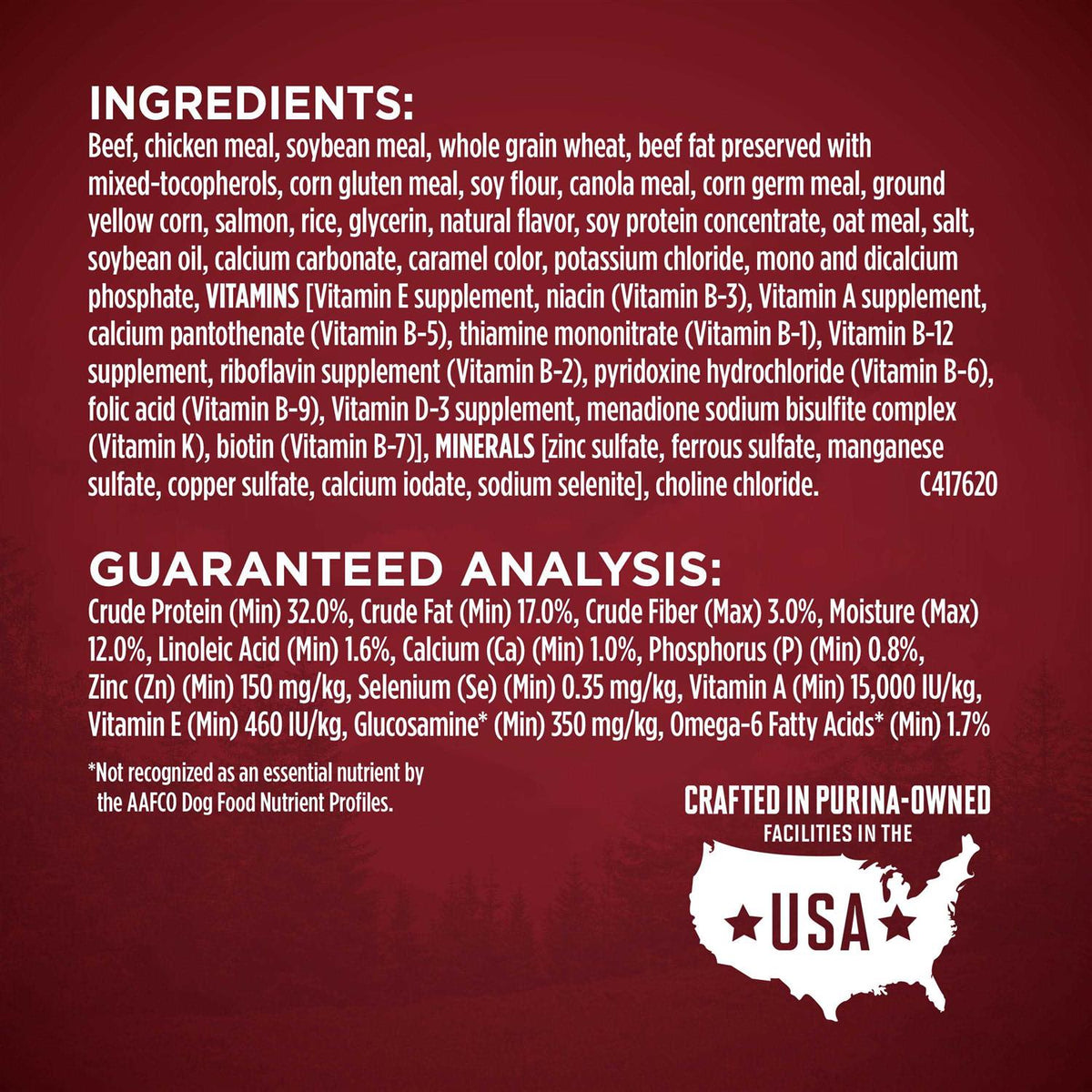 Dry Dog Food H31876