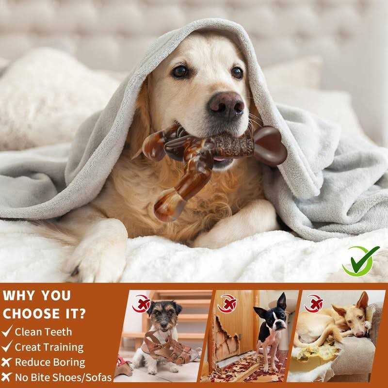 Real Bacon Flavored Tough Dog Bone Chew Toy E306