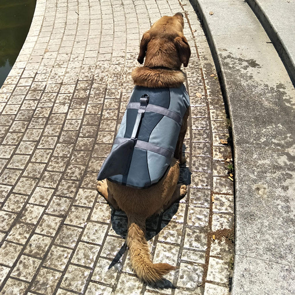 Dog Pet Shark Swimsuit Vest Safety Wear T283