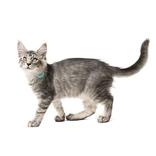 Pet Collar Locator Tag C78852