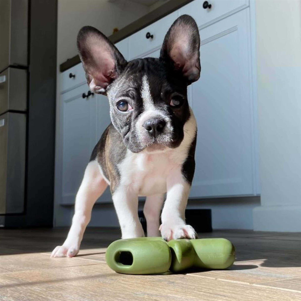 Dog Toy F7305