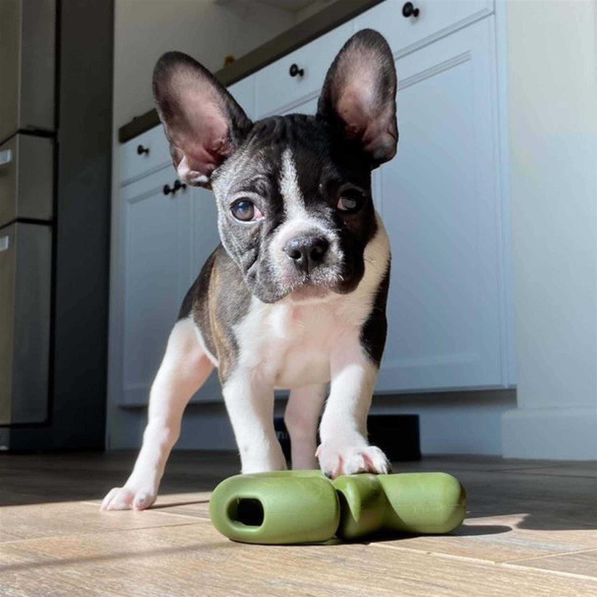 Dog Toy F7305