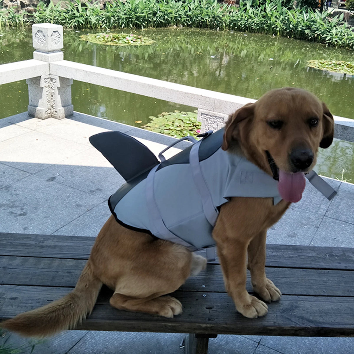 Dog Pet Shark Swimsuit Vest Safety Wear T283