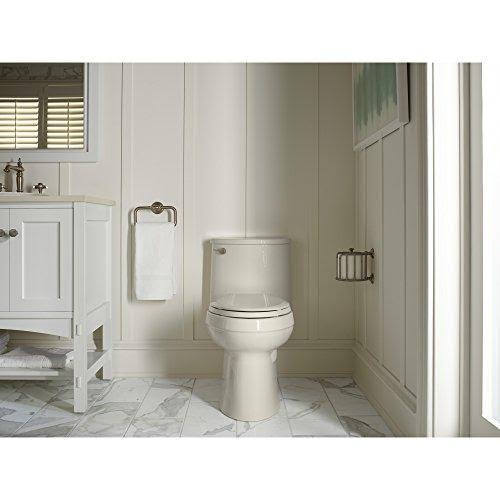 Vibrant Brushed Nickel Toilet Tissue Carriage M811