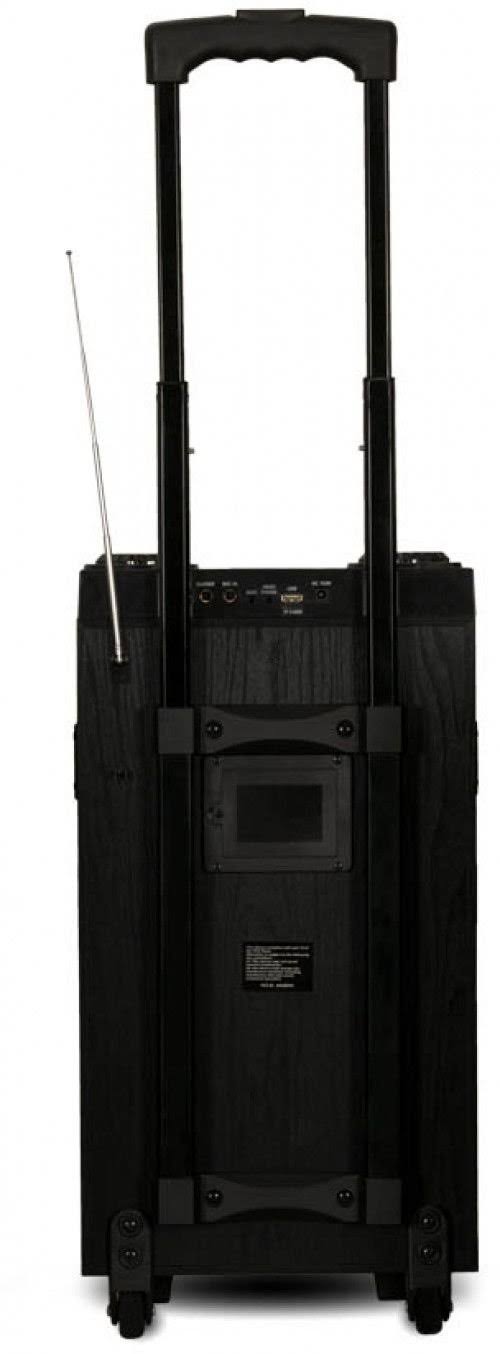 Portable Bluetooth Speaker with LED Display and Wireless Mic D92463