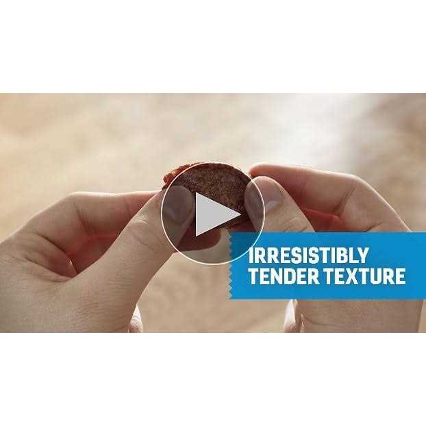 Dog Treats V783479