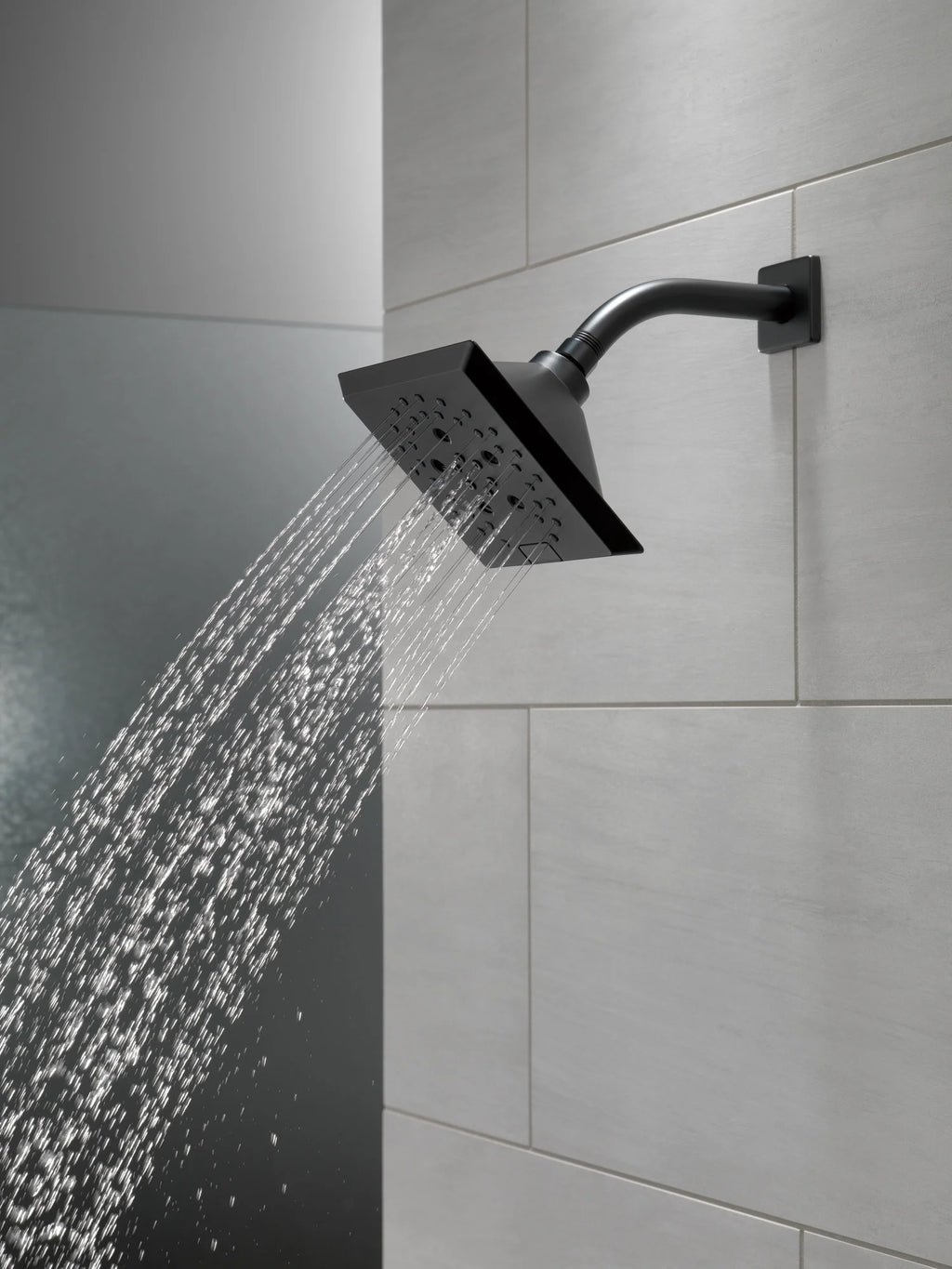 5-Setting Raincan Shower Head Z965