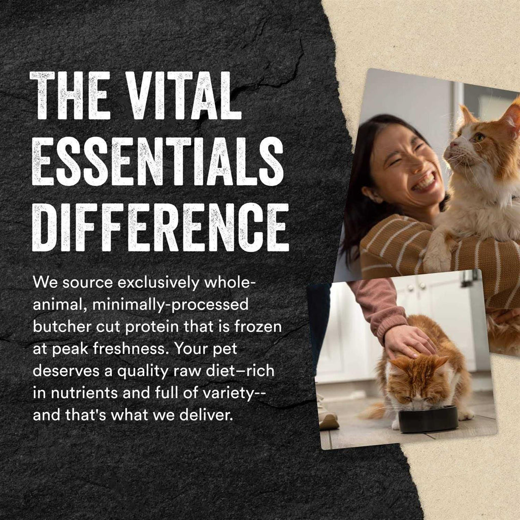 Freeze-Dried Rabbit Bites Cat Treats X108