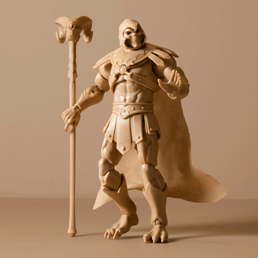 Skeletor Collector Figure W449