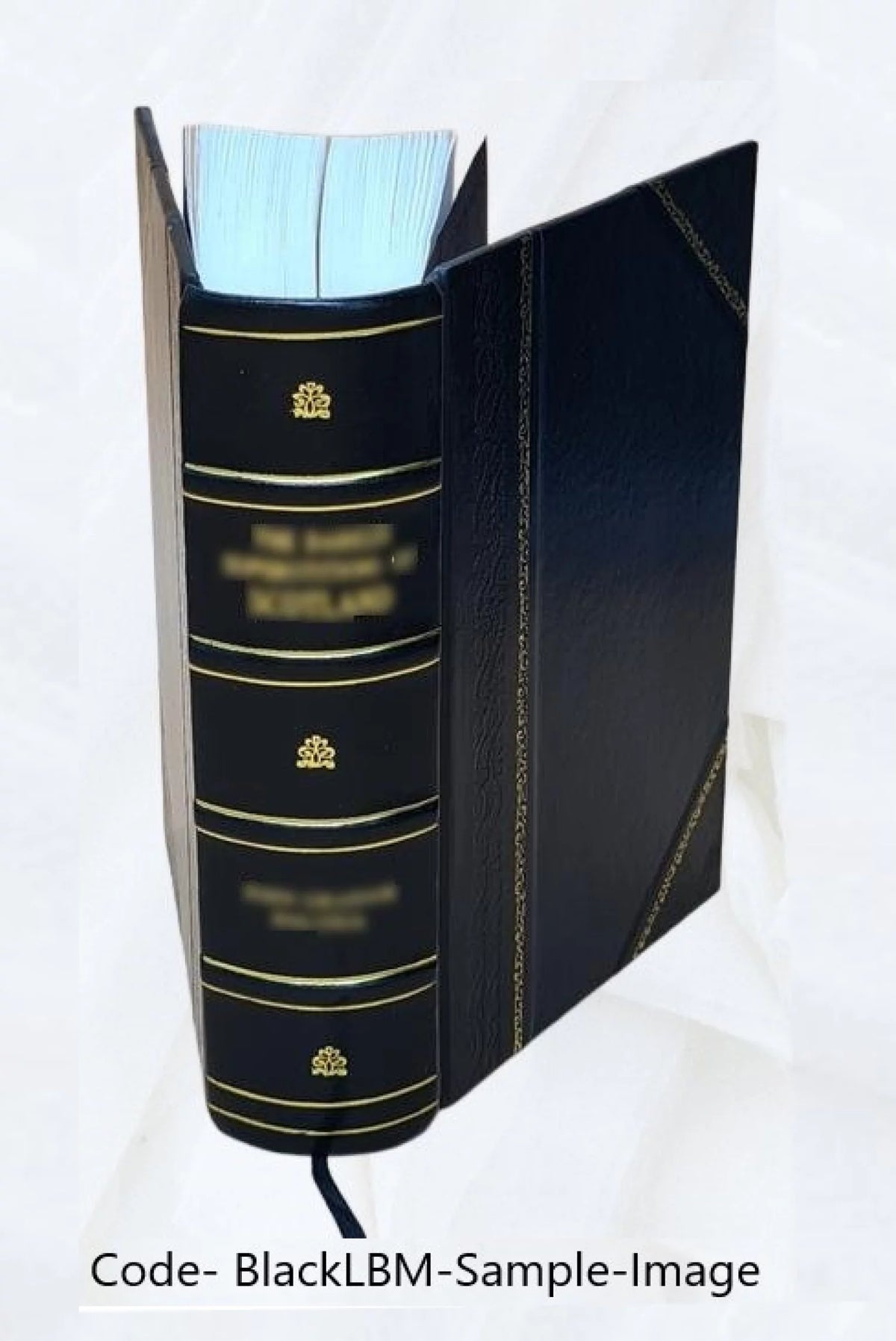 1838 Leather Bound J7784