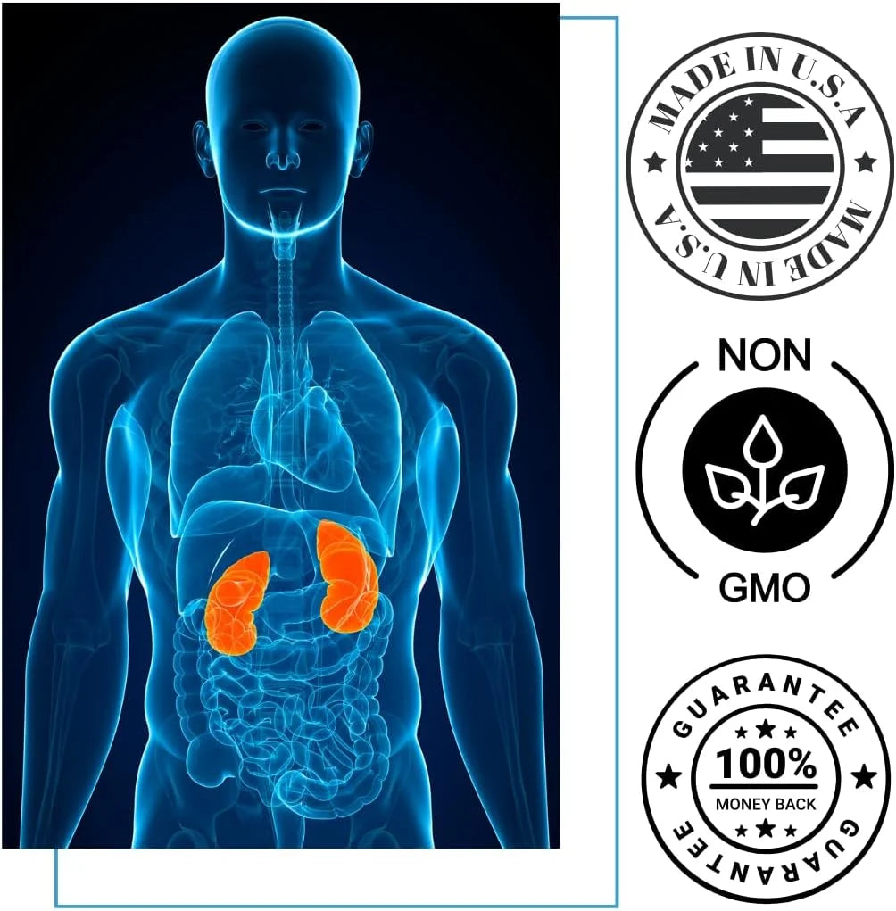 Kidney Support Supplement B886