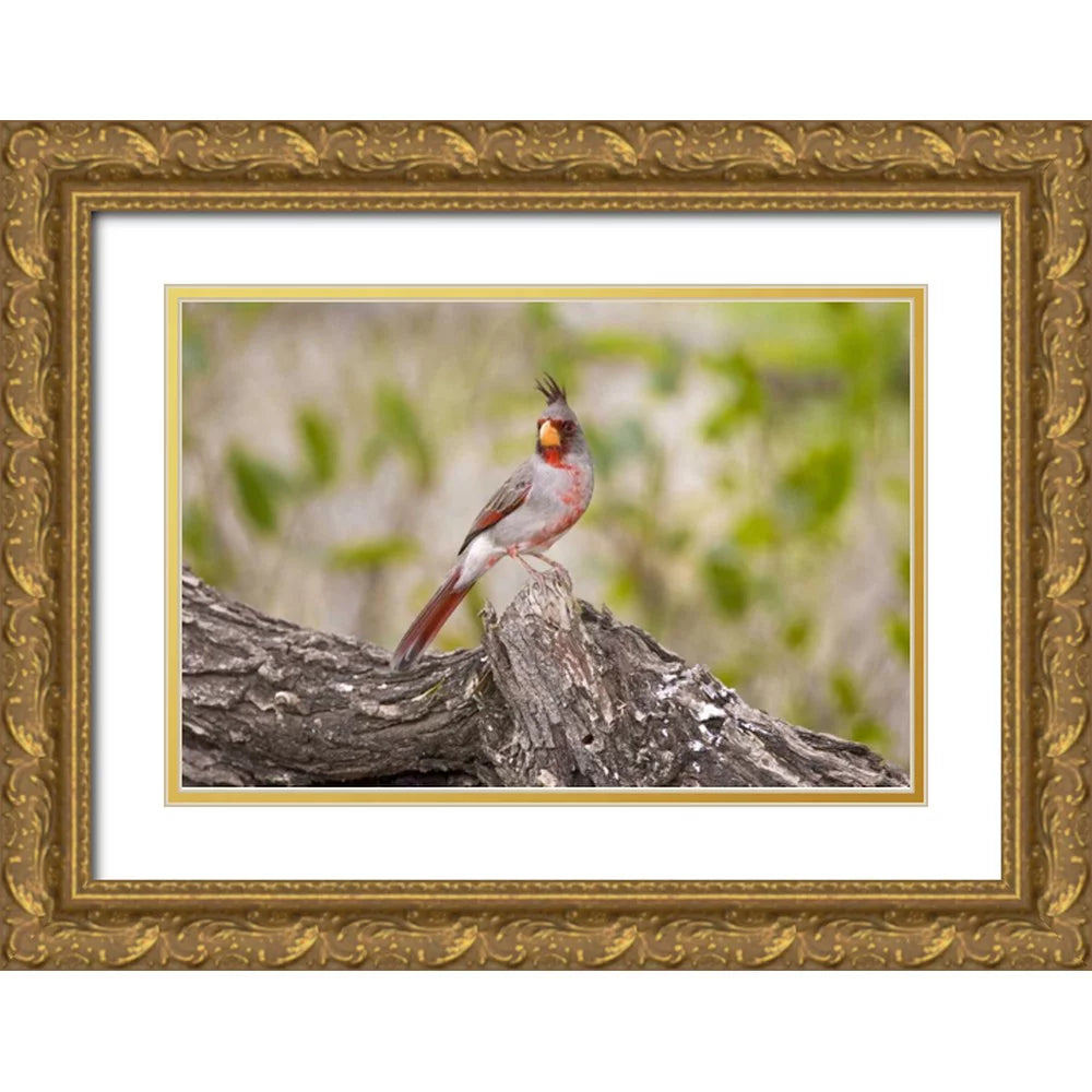 Gold Ornate Wood Framed Art Print T409352