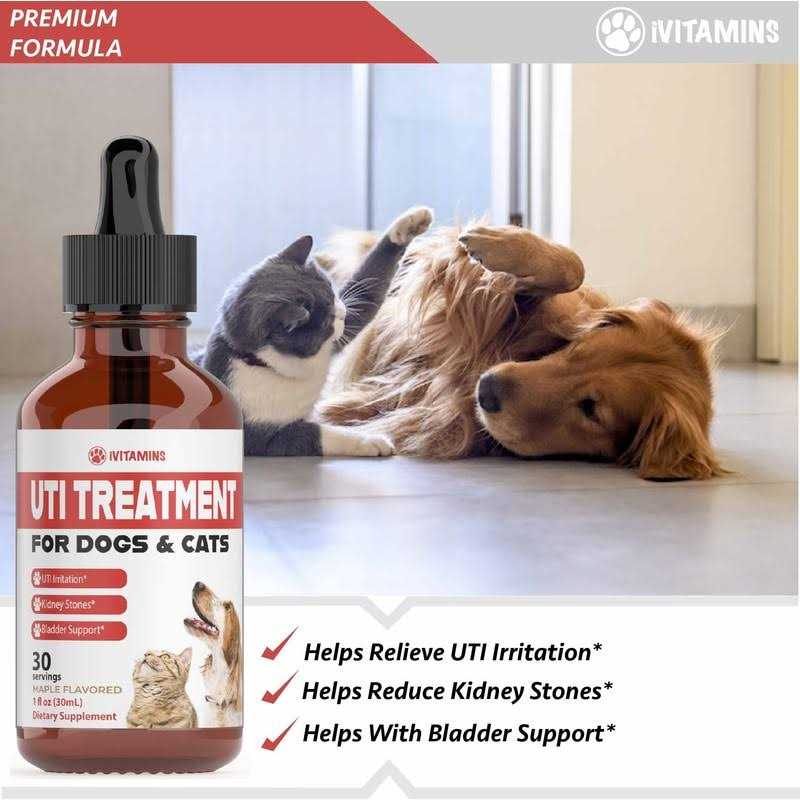 Pumpkin Cranberry Dog UTI Supplement Q76089