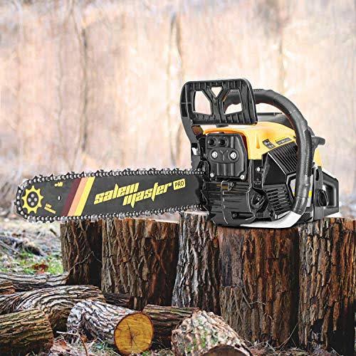 62 CC 2-Cycle Gas Powered Chainsaw W790