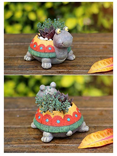 Turtle Resin Succulent Planter Q69640