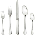 Silver Plated 5-Piece Dinner Setting Q4139