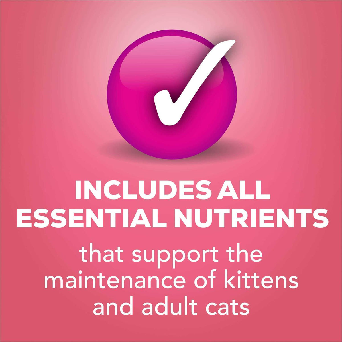 Friskies Pate Wet Salmon Dinner Cat Food E3770