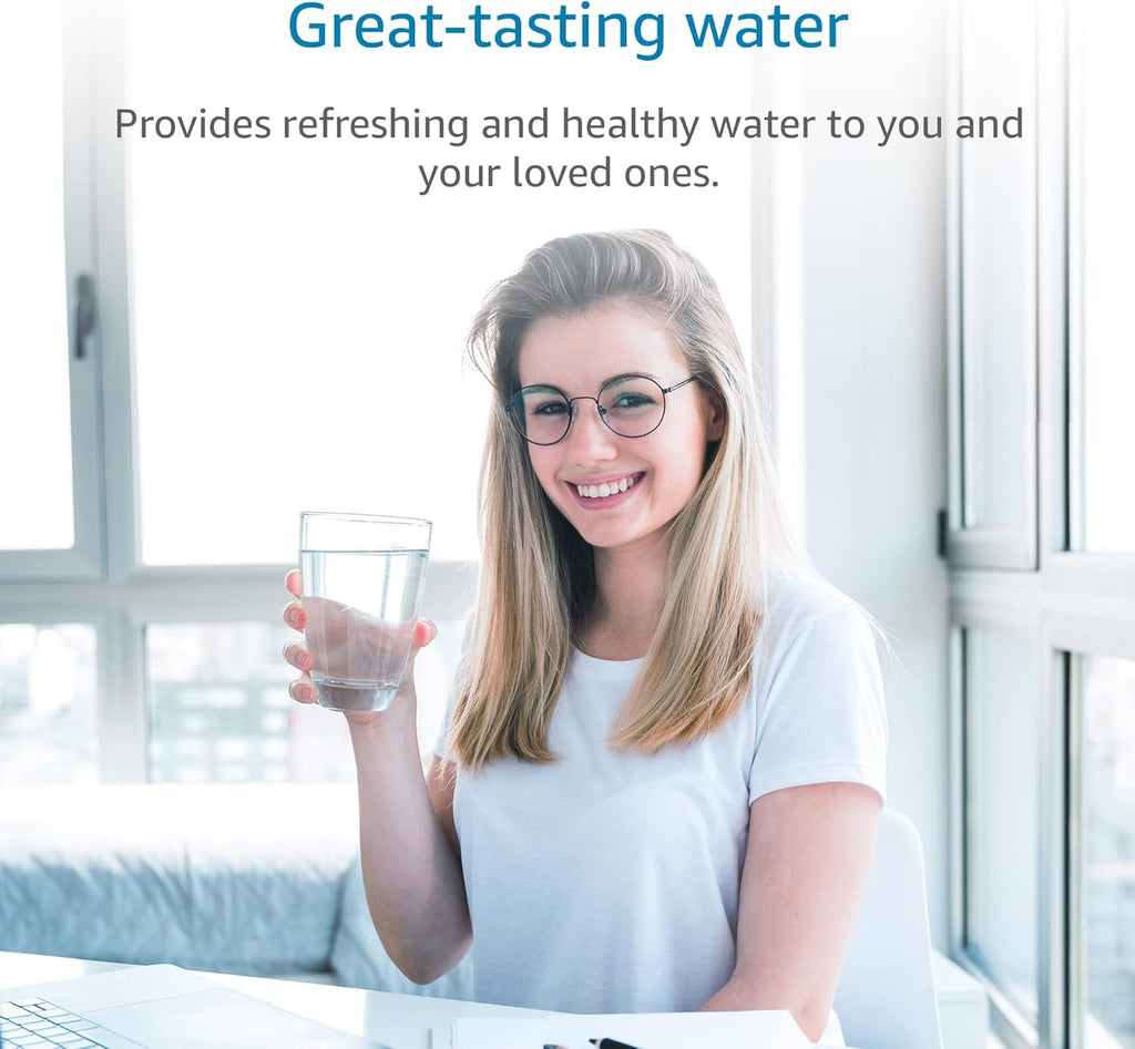 Black Water Filter, Pack of 2 D15964