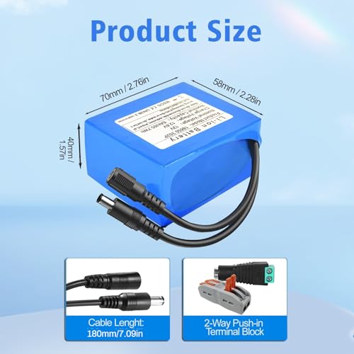 12V 6000mAh Rechargeable Lithium-Ion Battery Pack with Charger R964226