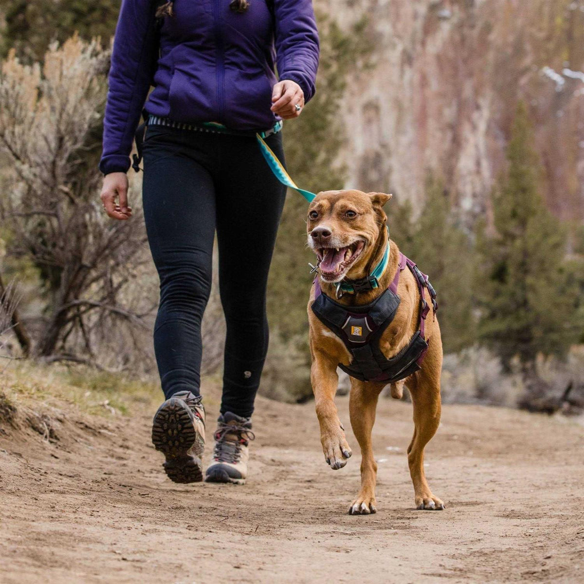 Dog Harness E564