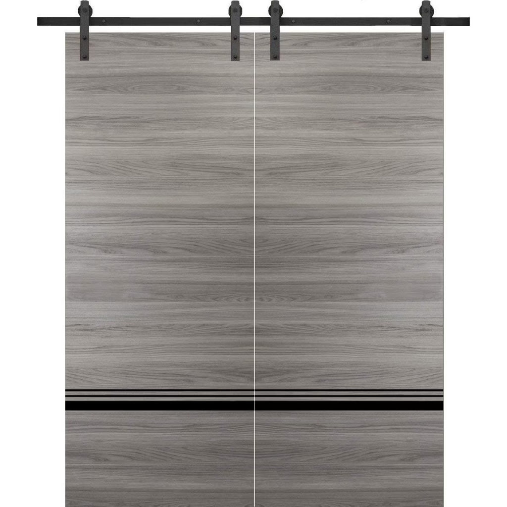 Double Barn Door 36 x 80 inches Grey Matte with Frosted Glass Stainless Steel Rail Hangers Solid Panel Interior Doors R458152