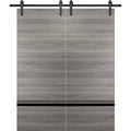 Double Barn Door 36 x 80 inches Grey Matte with Frosted Glass Stainless Steel Rail Hangers Solid Panel Interior Doors R458152