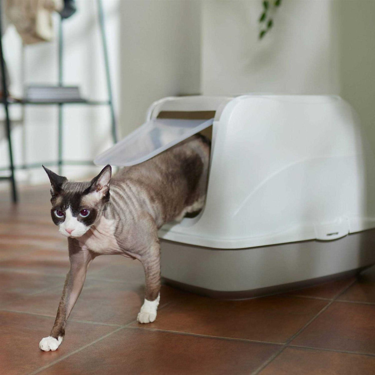Flip Top Hooded Cat Litter Box C7888