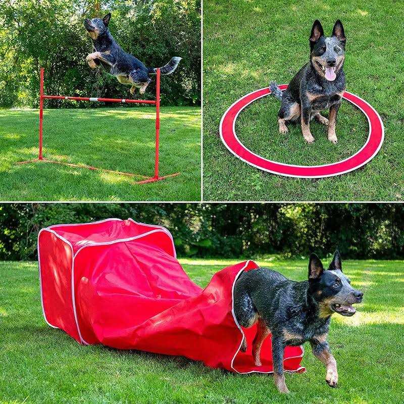 6 Piece Agility Kit K8047