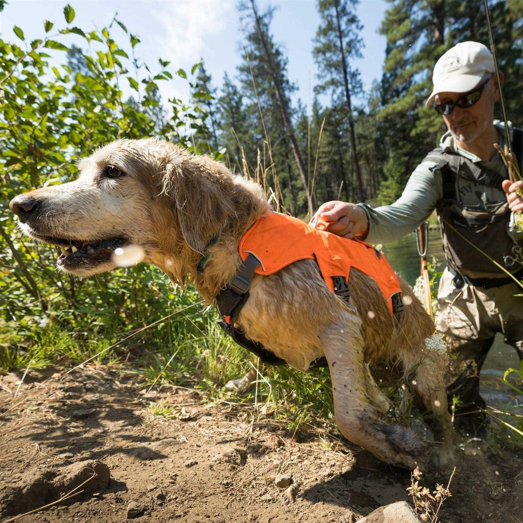 Dog Harness E564