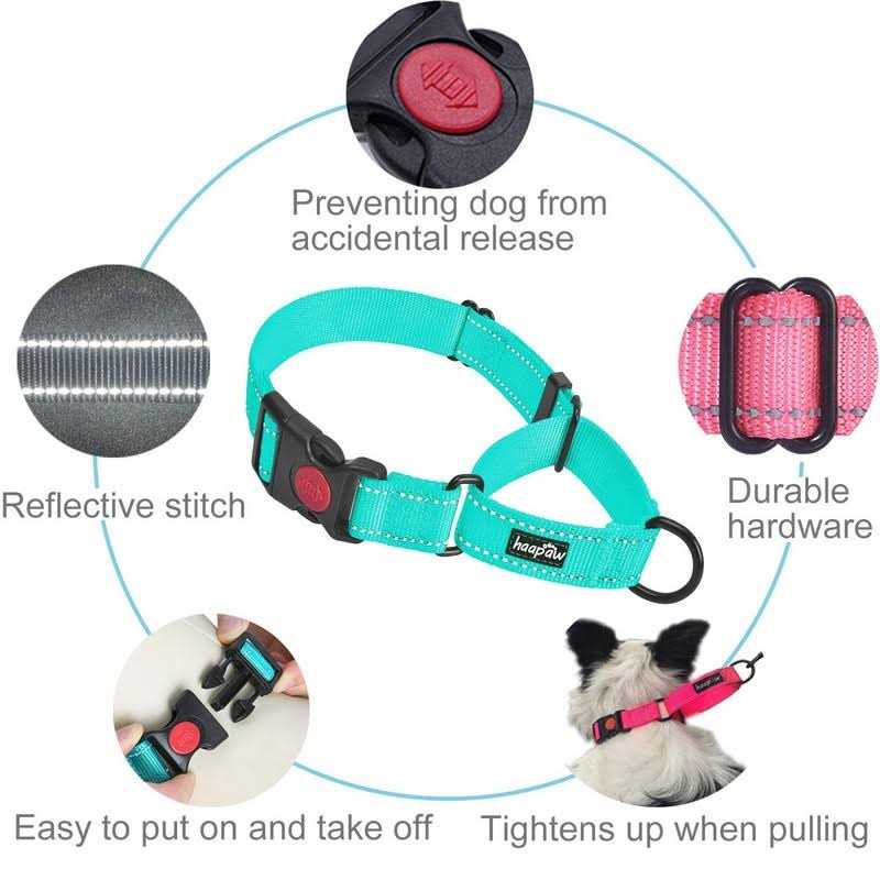 2 Packs Martingale Dog Collar with Quick Release Buckle Reflective N146