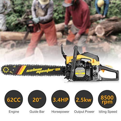 62 CC 2-Cycle Gas Powered Chainsaw W790