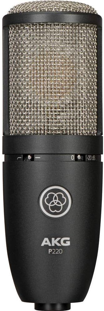 Large Diaphragm Condenser Microphone with Pop Filter and XLR To XLR Cable R252