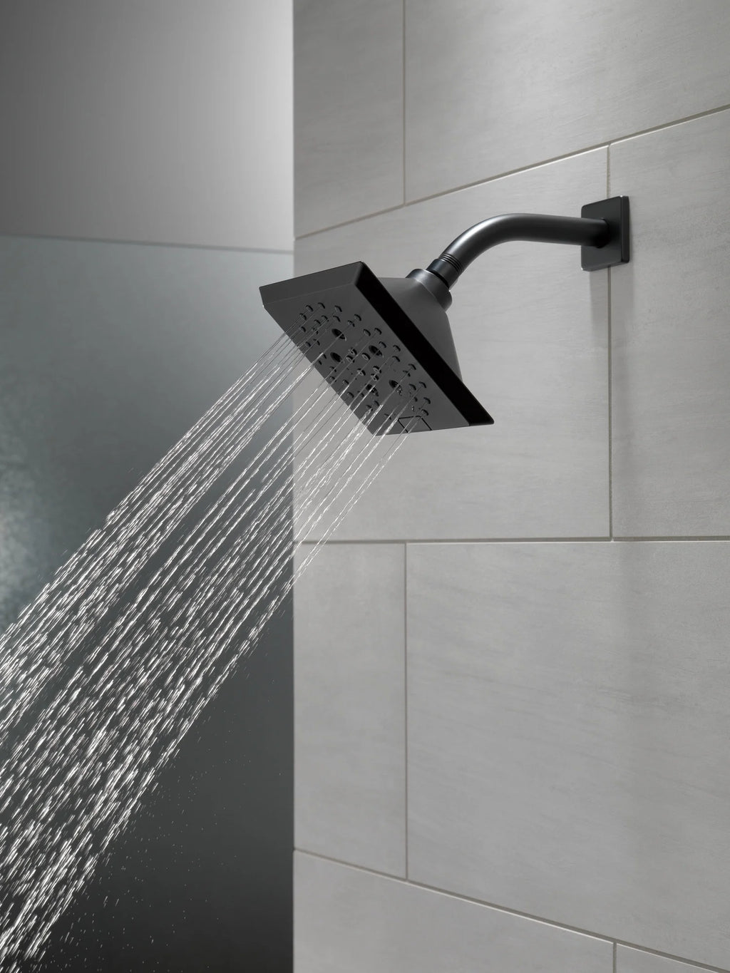 5-Setting Raincan Shower Head Z965
