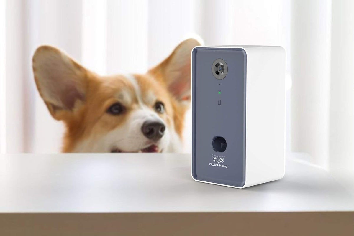 Pet Camera with Treat Dispenser, WiFi, 1080P, Auto Night Vision, 2-Way Audio Q5072