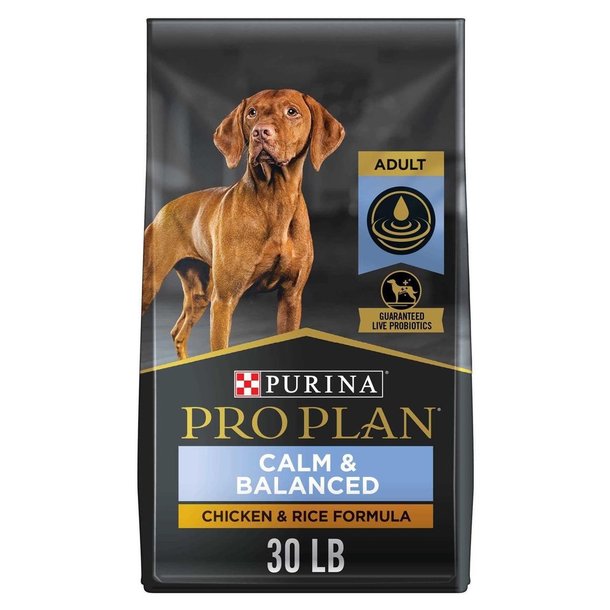 Chicken & Rice Formula Dry Dog Food C5645