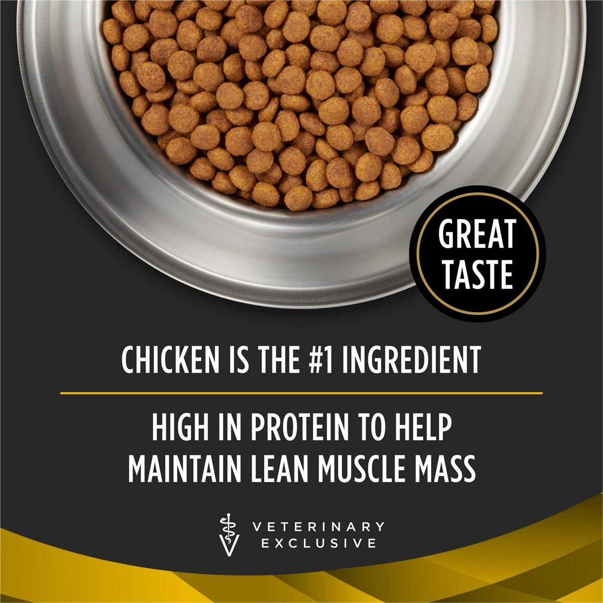 Dry Dog Food M163