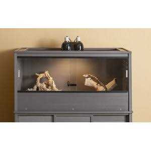 Reptile Lounge H69924