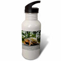 Eastern Box Turtle Sports Water Bottle M691291