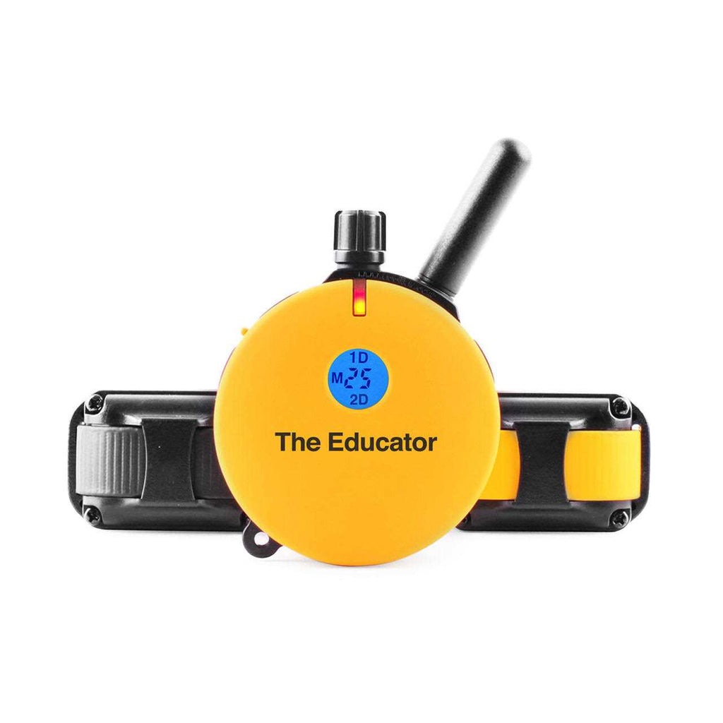 Remote Dog Training Collar C513