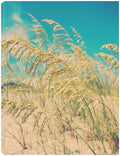Canvas Art 24x32 G886252