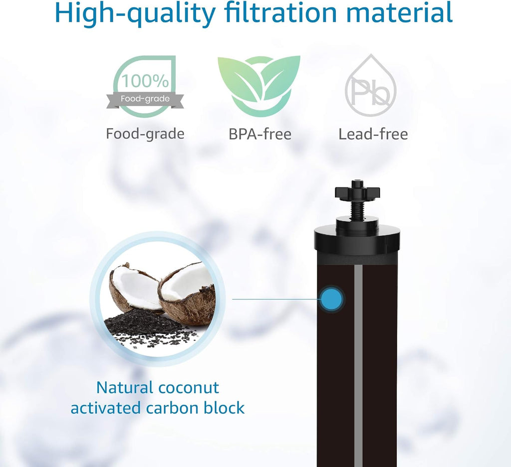 Black Water Filter, Pack of 2 D15964