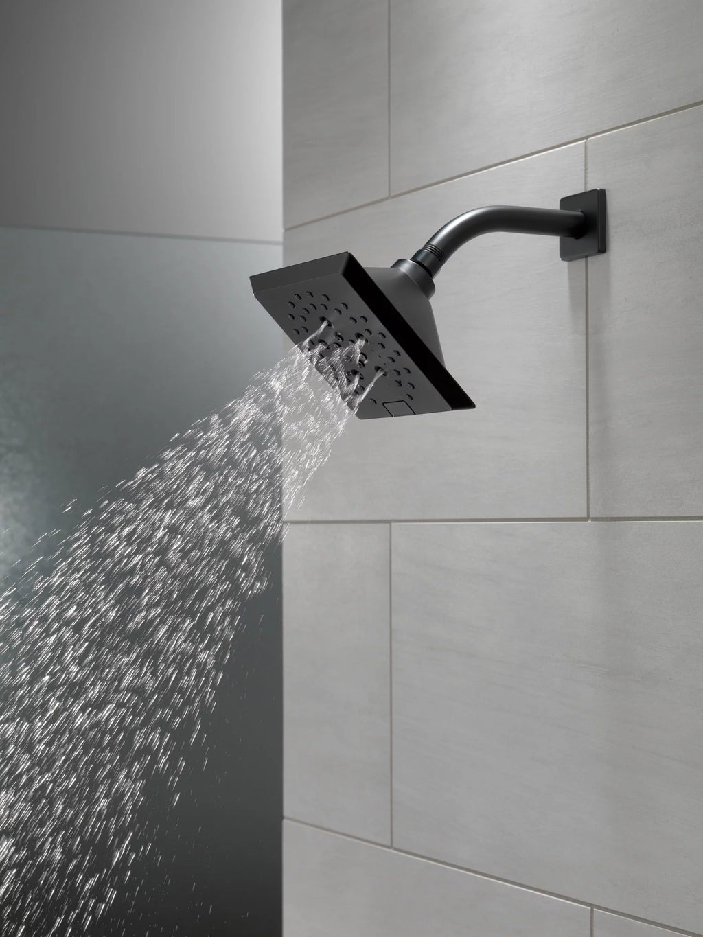 5-Setting Raincan Shower Head Z965