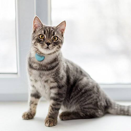 Pet Collar Locator Tag C78852