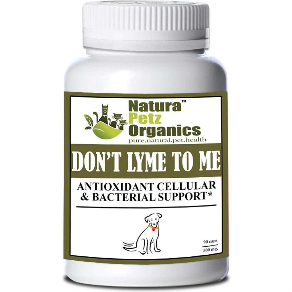 Antioxidant Cellular & Bacterial Support Capsules A126