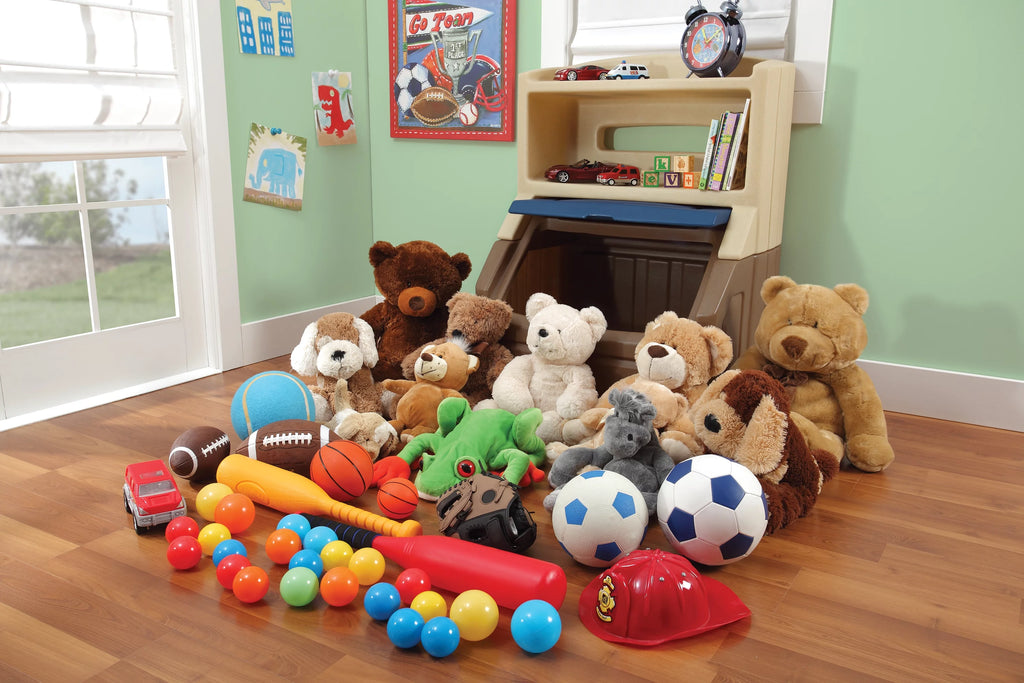 Brown and Blue Plastic Toddler Bookcase and Toy Box M780