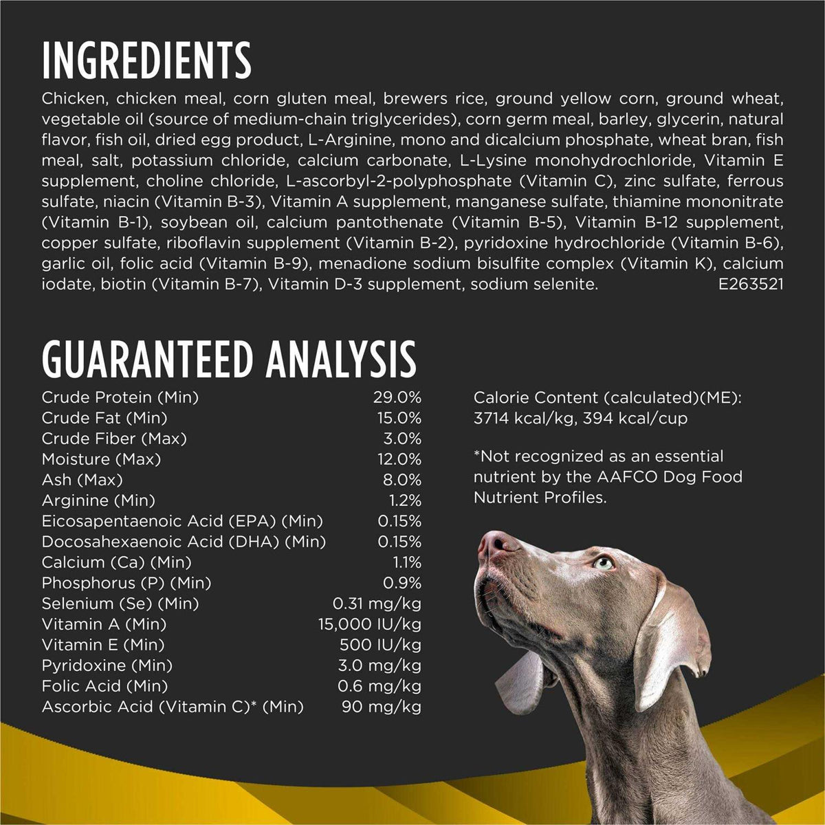 Dry Dog Food M163