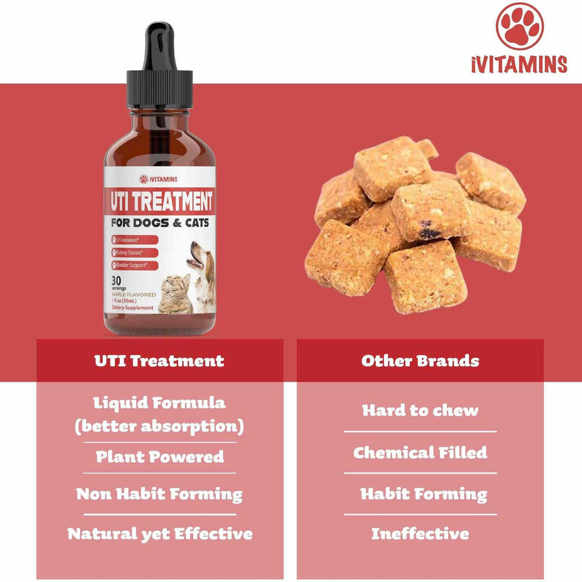 Pumpkin Cranberry Dog UTI Supplement Q76089