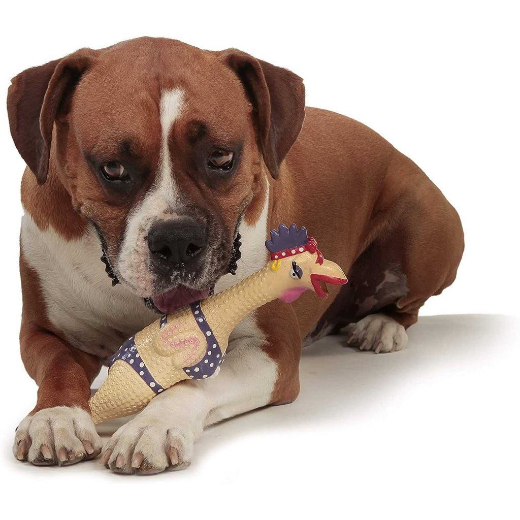 Dog Toy K15216