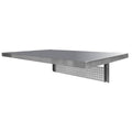 Stainless Steel Wall Mounted Foldable Work Table and Workbench X225